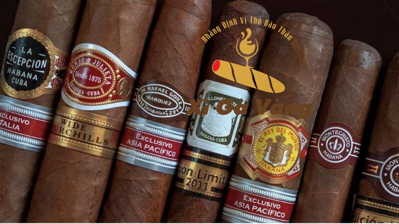 Mua Cigar Lotus 30 điếu đến ngay Xì Gà Vàng